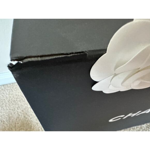 Chanel Empty Hangbag Magnetic Storage Flower Dust Bag Book 14" x 18" x 8" - Picture 15 of 15